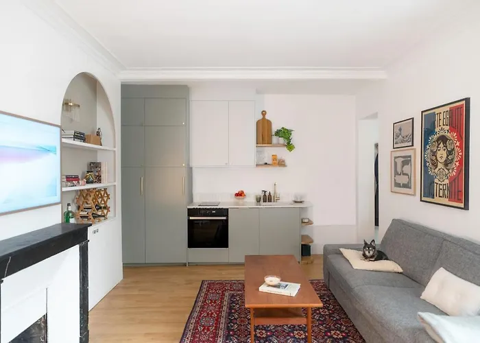 Minimalist Haussmannian Paris 11